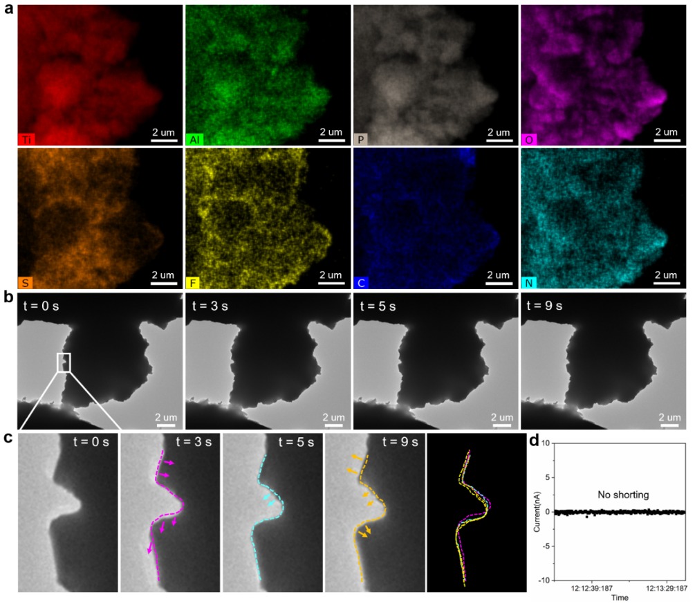 Stable lithium ion transport in inorganic/organic composite solid electrolytes.