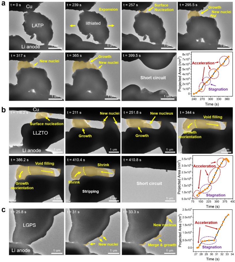 In-situ TEM observation of lithium metal deposition and electrolyte short-circuit dynamics.