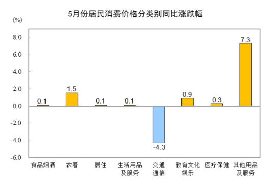 CPI Year-on-Year Price Changes by Category Chart - May 2025